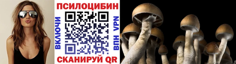 Галлюциногенные грибы MAGIC MUSHROOMS Мариинский Посад